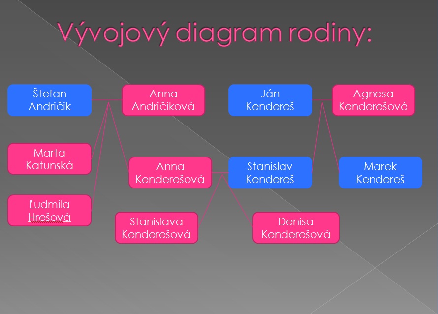 Vyvojovy diagram rodiny.jpg